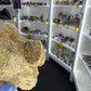Mosasaurus Anceps Tooth in Matrix