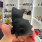 Black Obsidian Cat