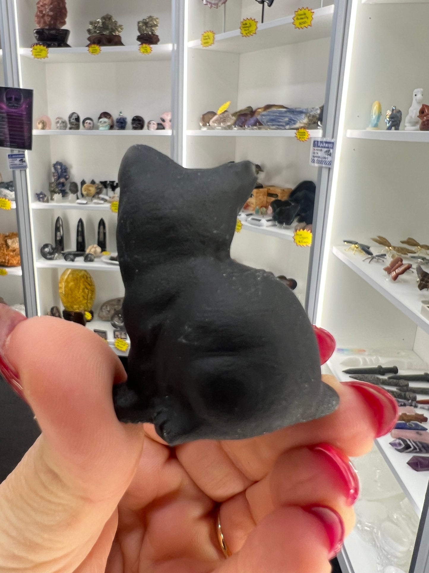 Black Obsidian Cat