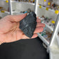 Black Tourmaline Raw Chunk