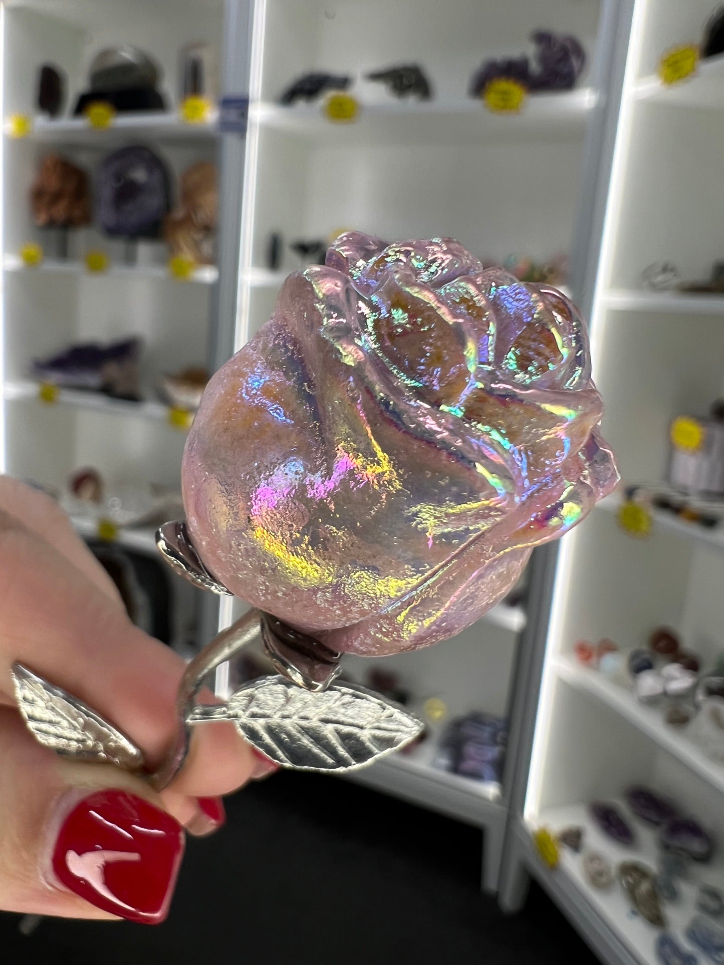 Aura Pink Opal Forever Rose