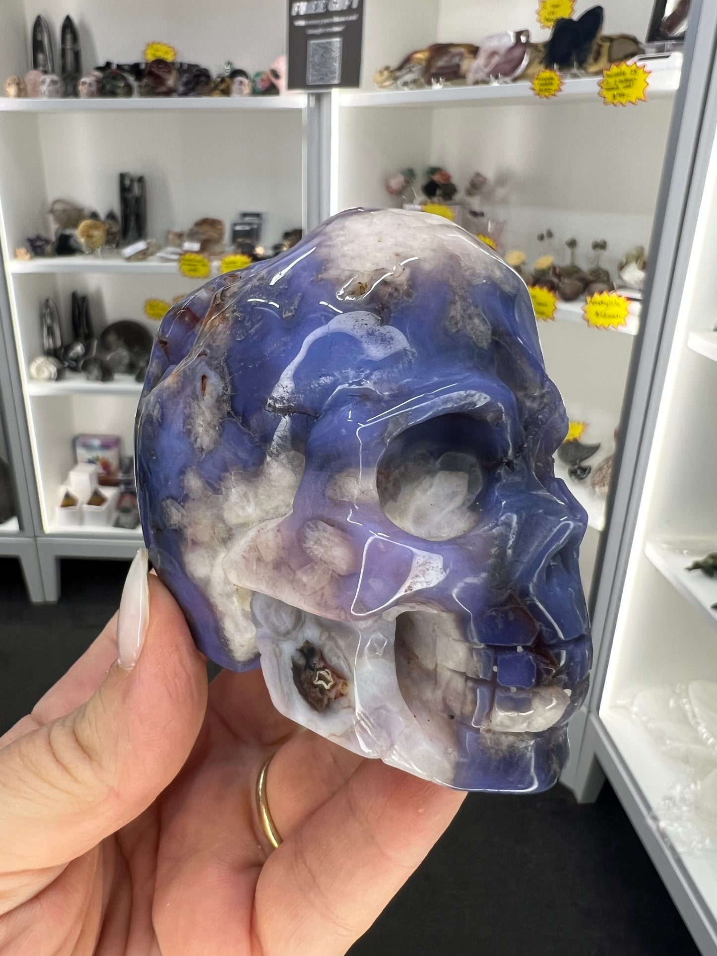 Blue Flower Agate Skull
