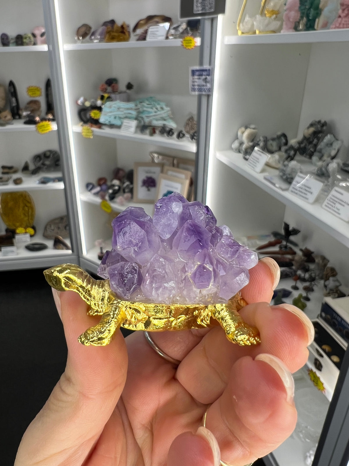 Amethyst Cluster on Gold Turtle