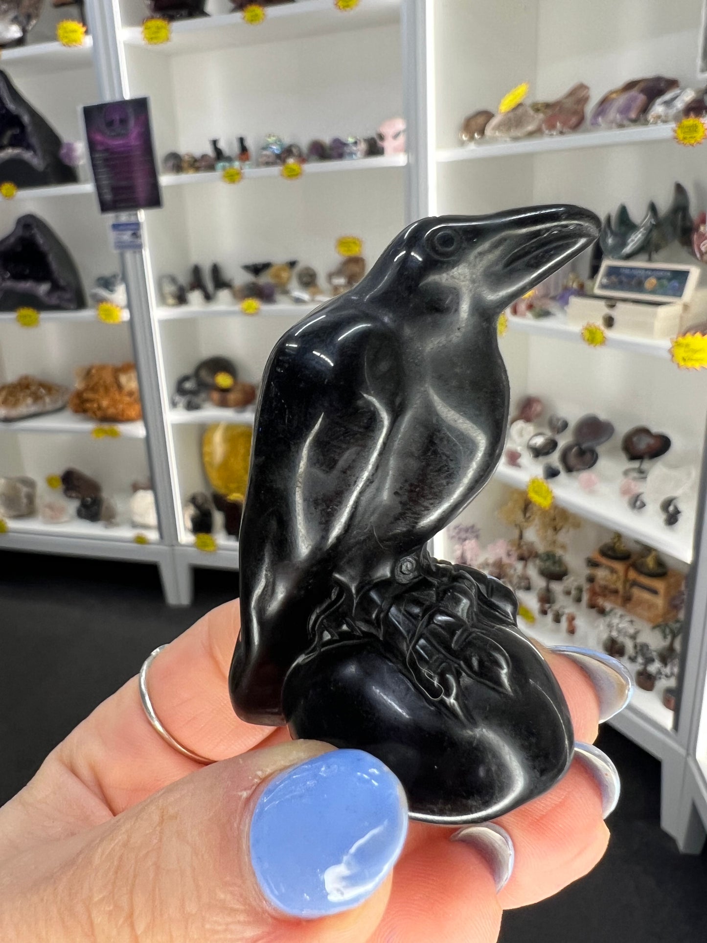 Black Obsidian Crow