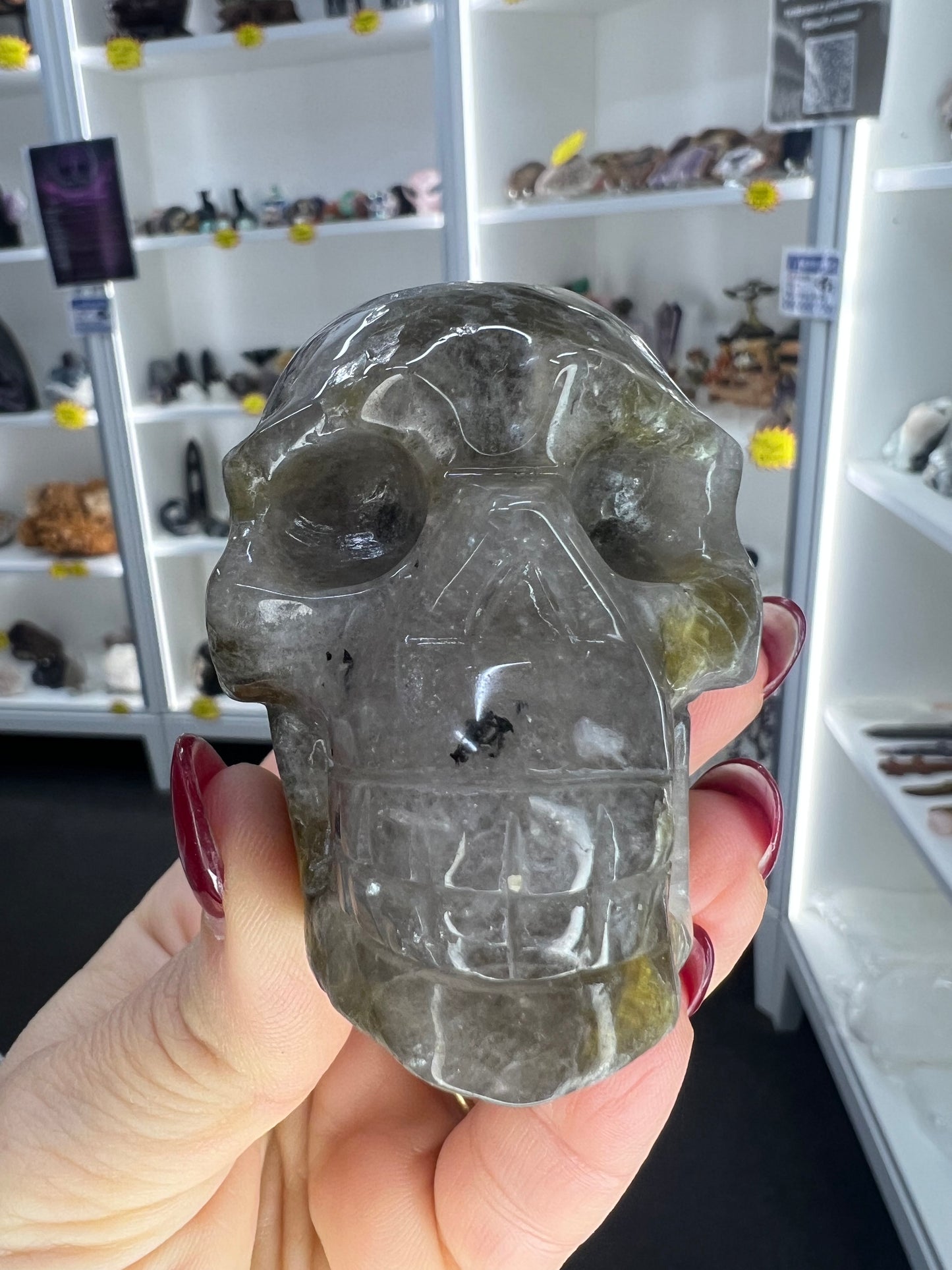 Smoky Quartz with Green Mica Skull