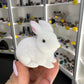 White Quartz Bunny