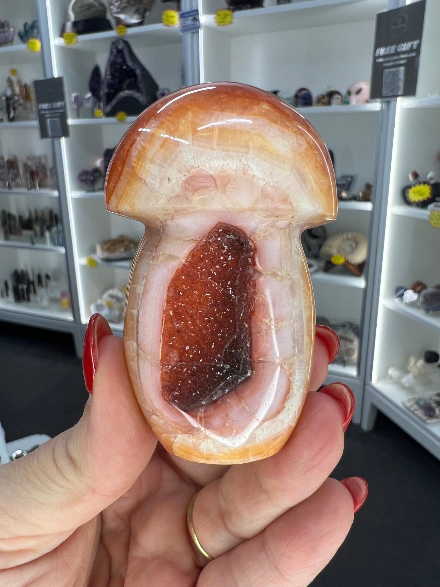 Carnelian Mushroom