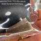 Mosasaurus Anceps Tooth