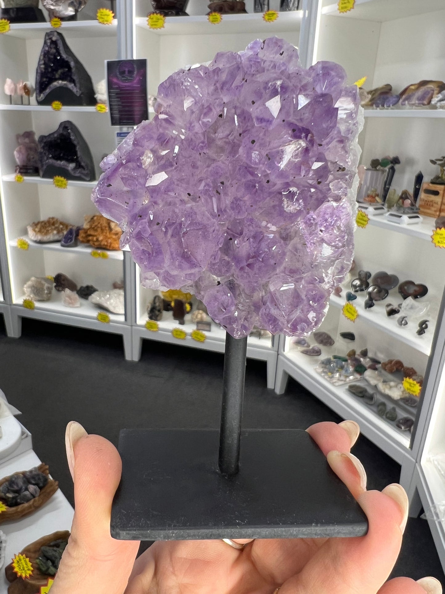 Amethyst Cluster Specimen on Stand