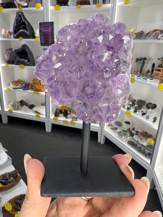 Amethyst Cluster Specimen on Stand