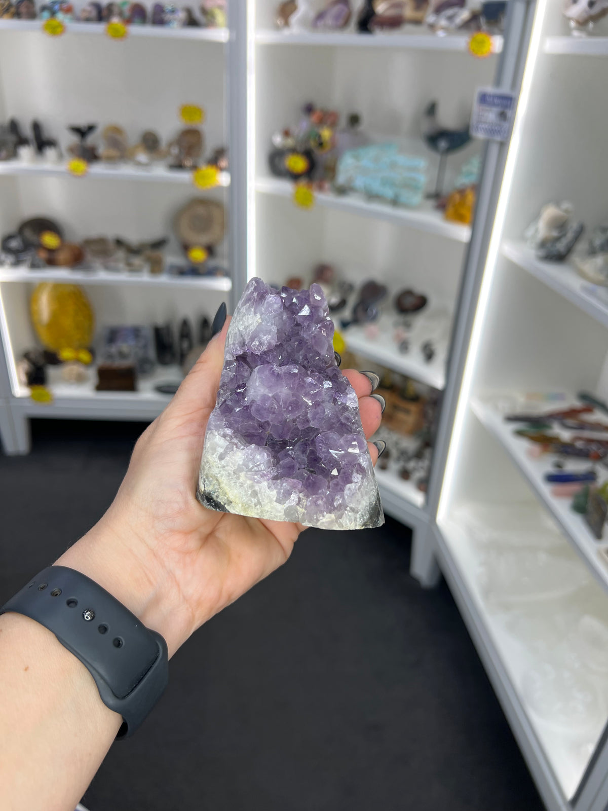 Amethyst Cluster Specimen