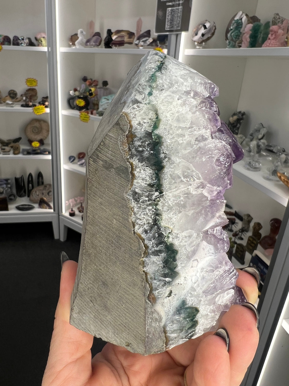 Amethyst Cluster Specimen