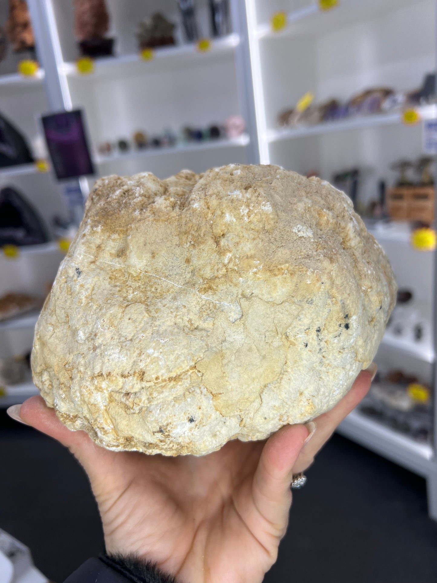 Quartz Geode Specimen
