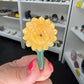 Golden Healer / Green Aventurine Sunflower