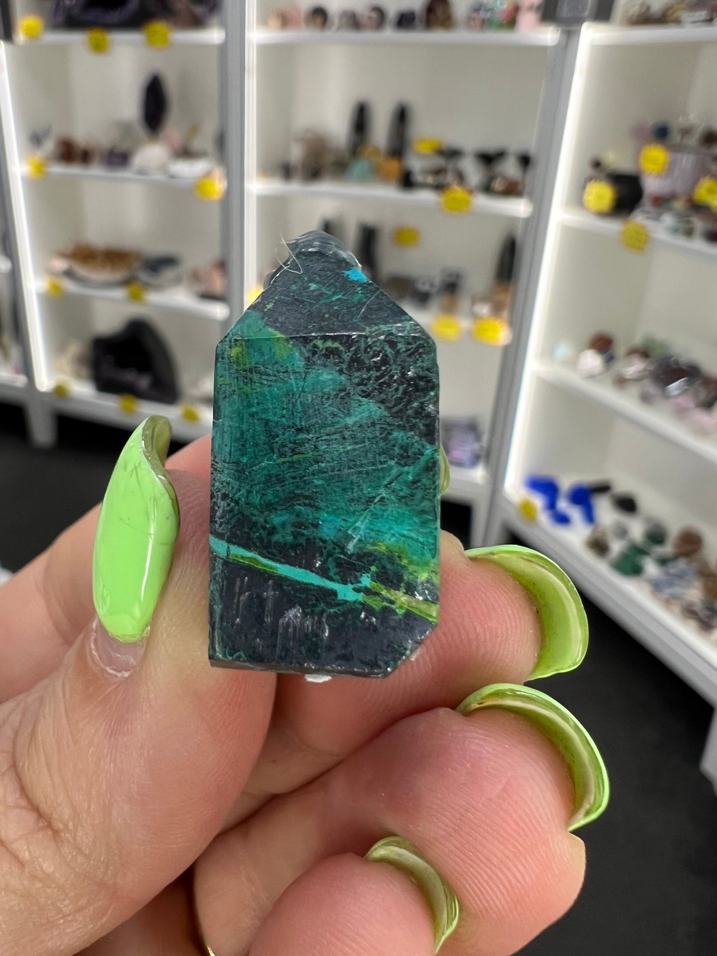 Phoenix Turquoise Point