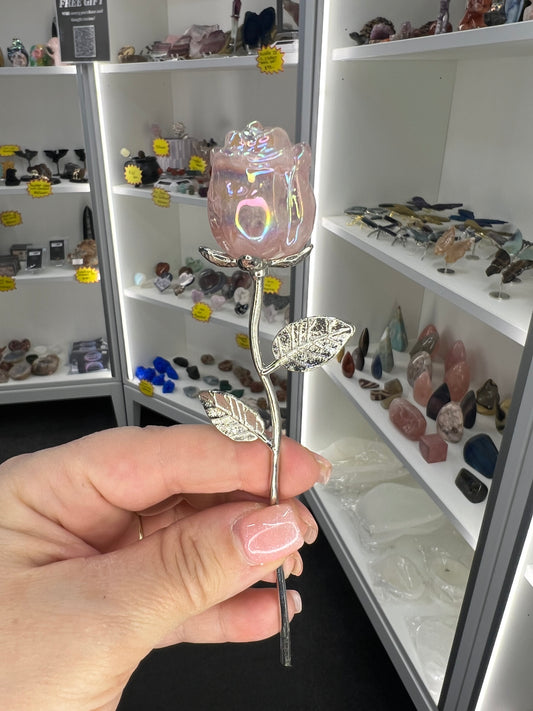 Aura Rose Quartz Forever Rose