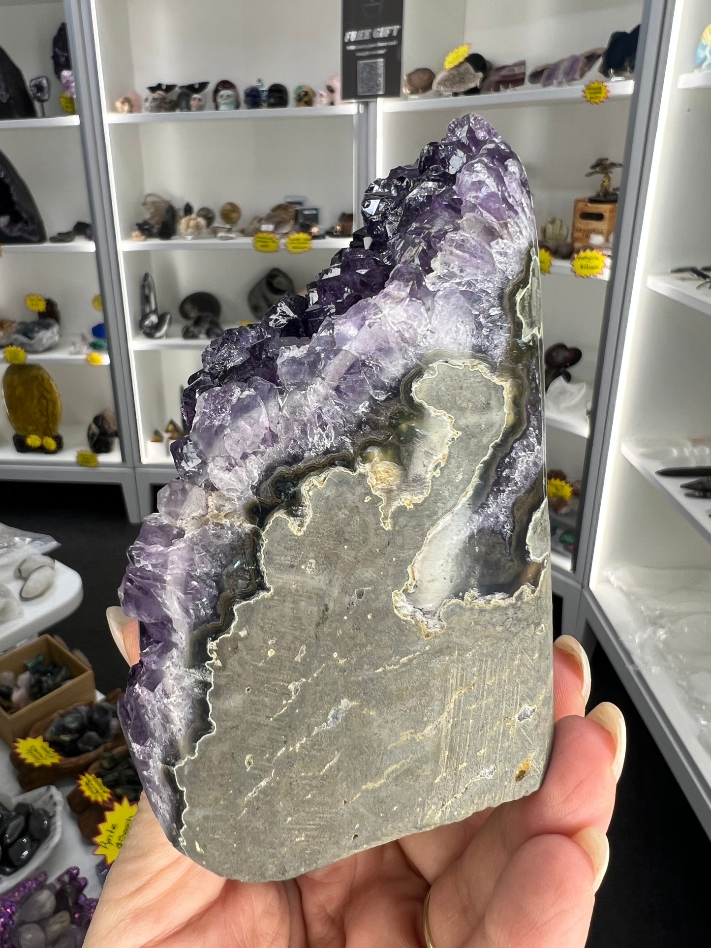 Amethyst Cluster Specimen