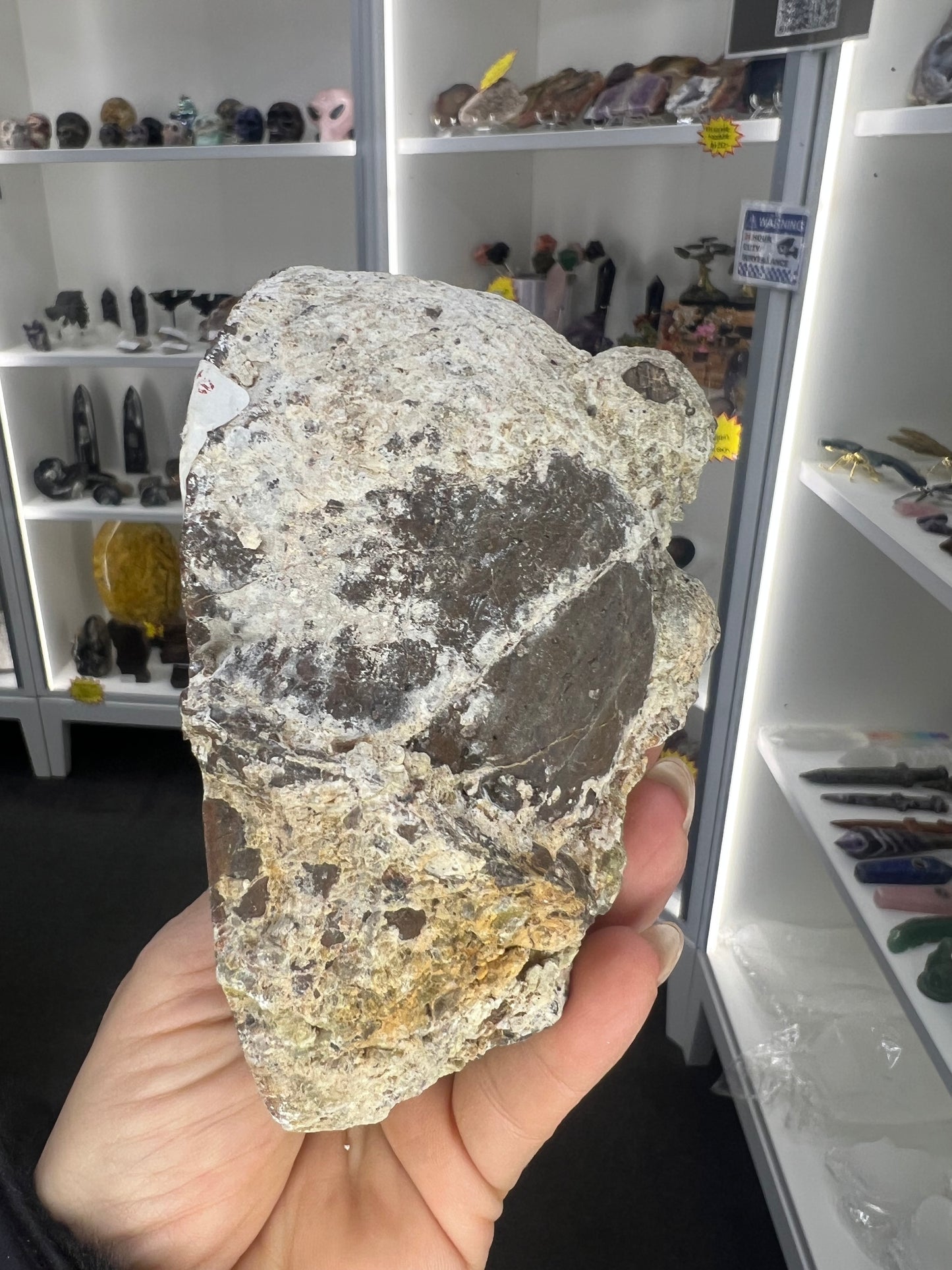 Dugway Agate