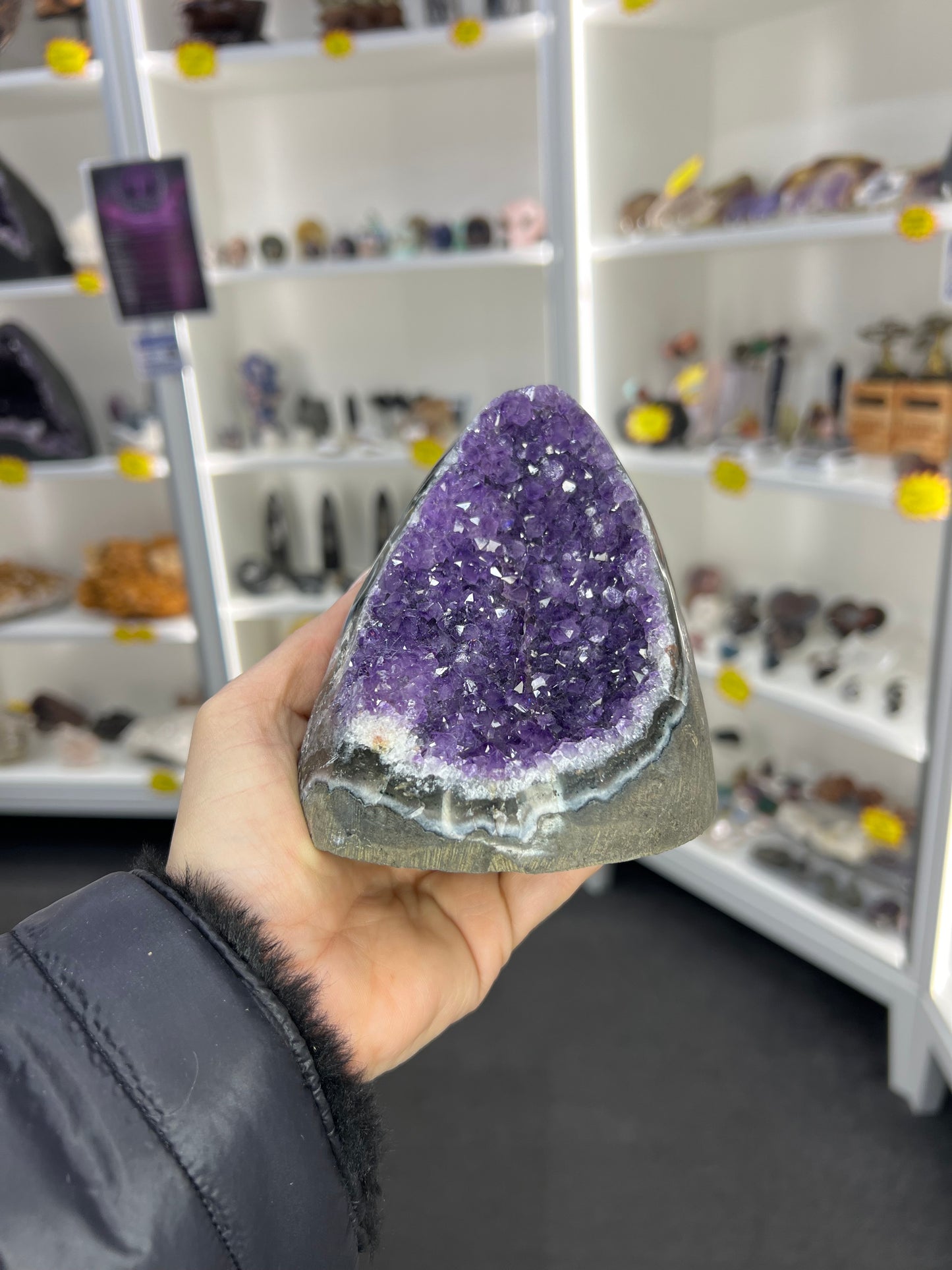 Amethyst Cluster Specimen