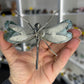 Moss Agate Dragonfly