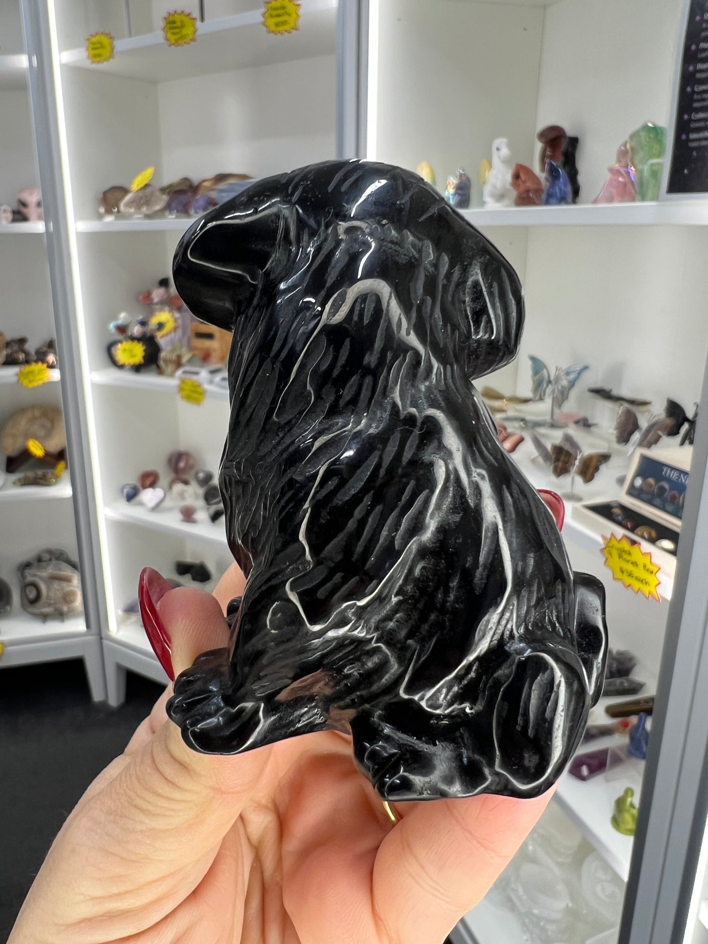 Black Obsidian Dog