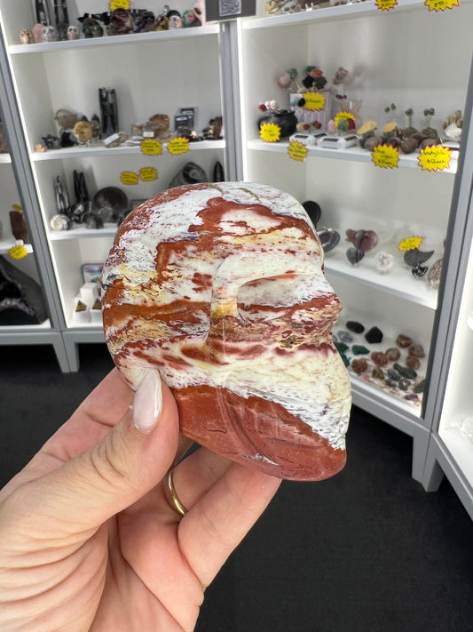 Petrified Wood Skull