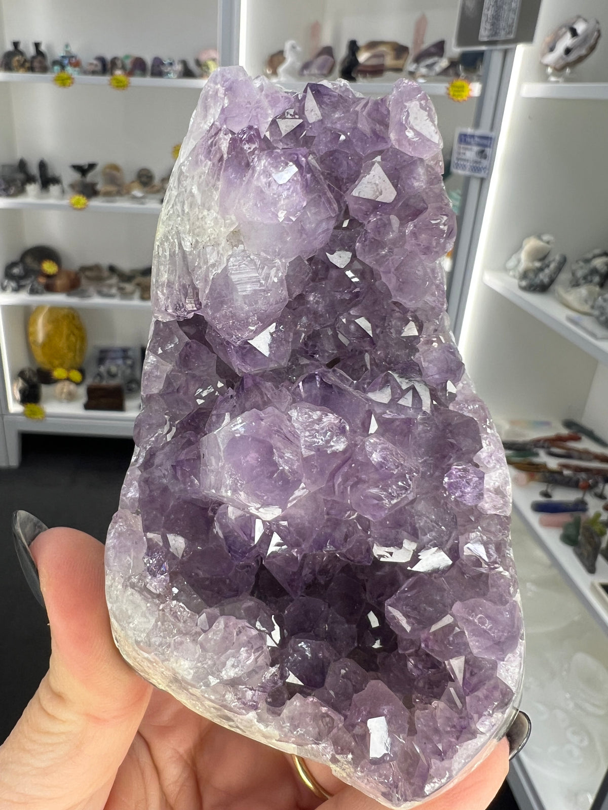 Amethyst Cluster Specimen