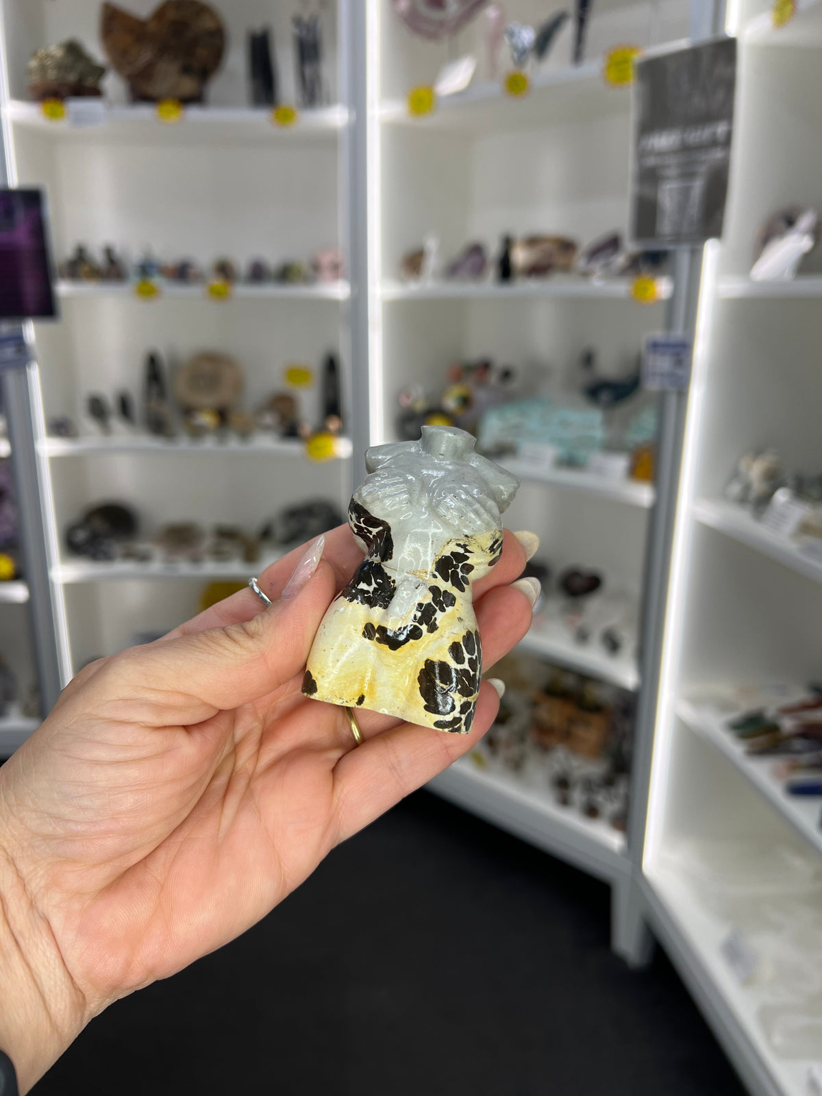 Picture Jasper Lady Torso