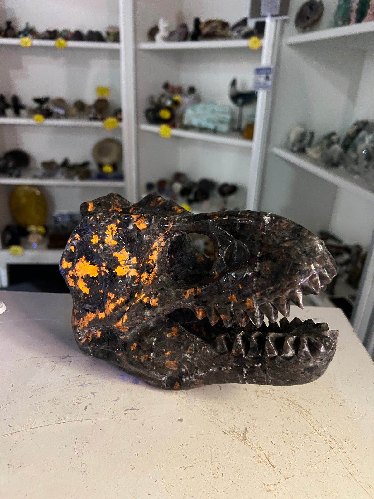 Yooperlite Dinosaur Skull (UV Reactive)