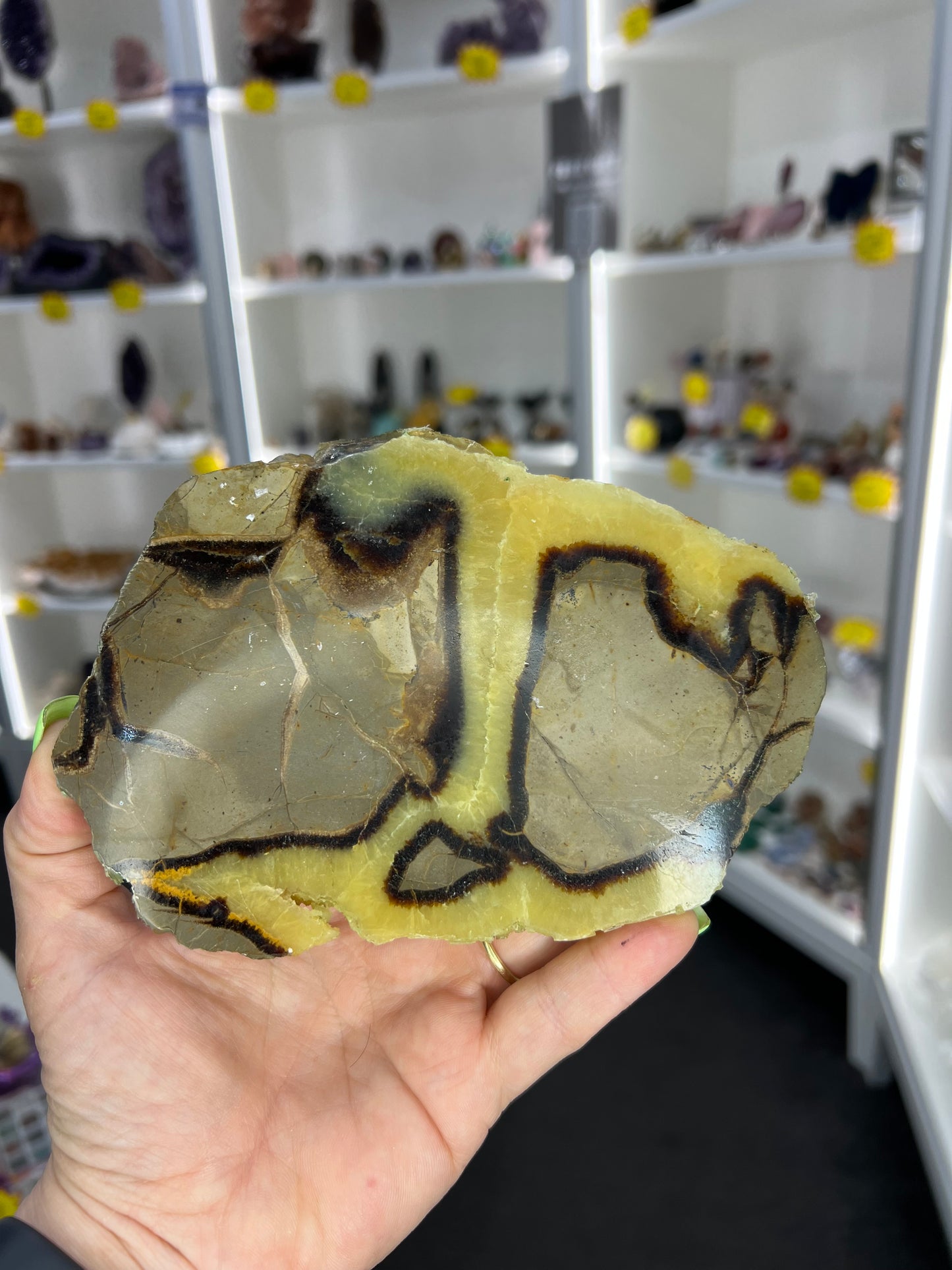 Septarian Slab