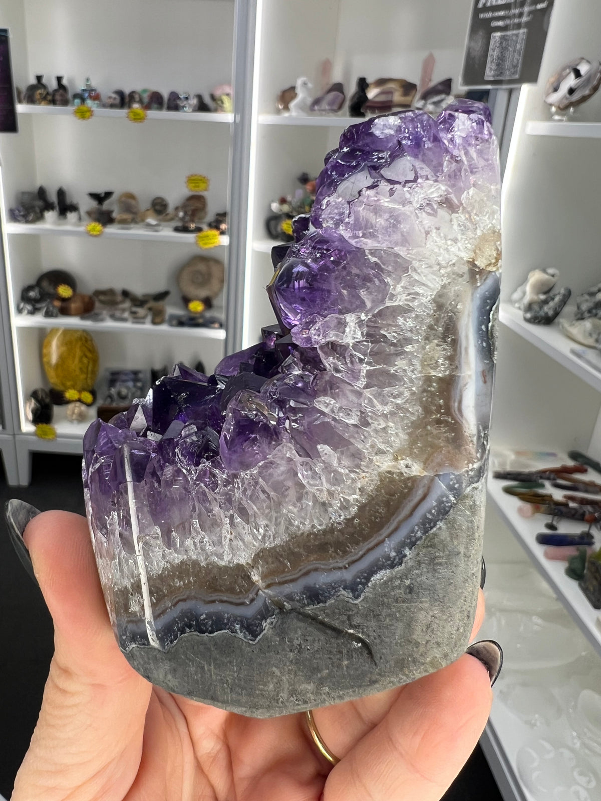 Amethyst Cluster Specimen