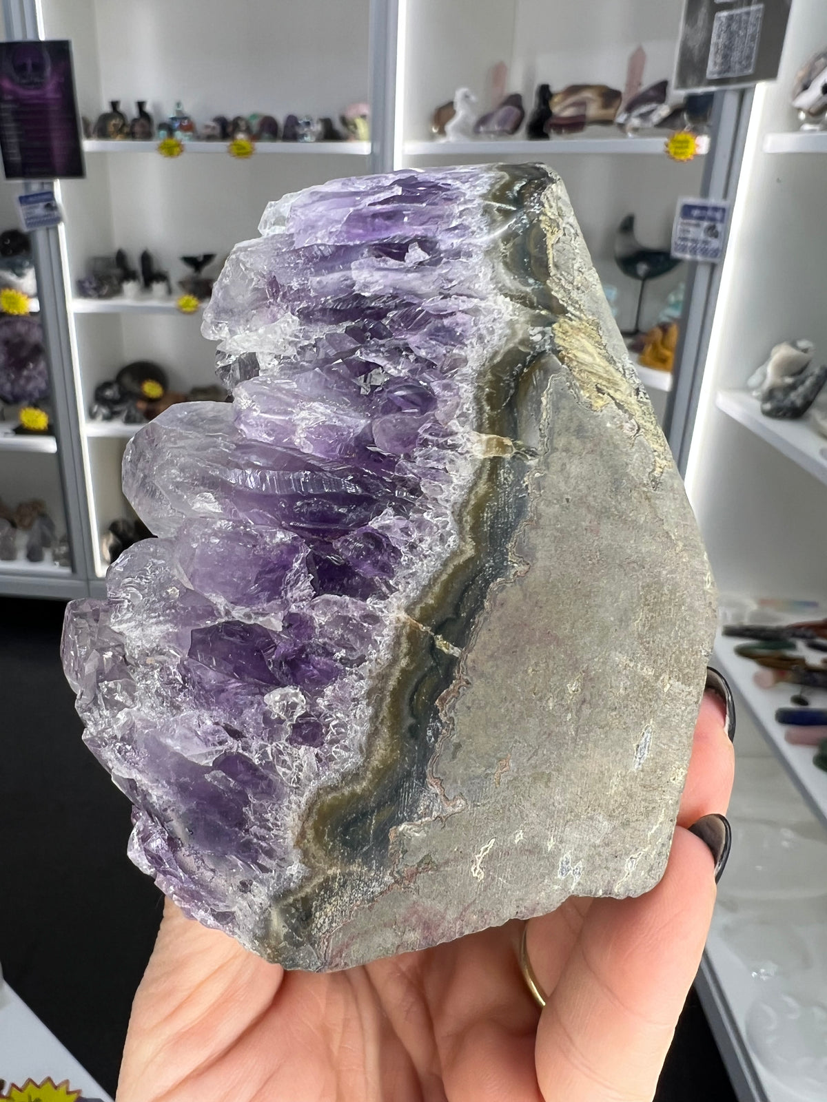 Amethyst Cluster Specimen
