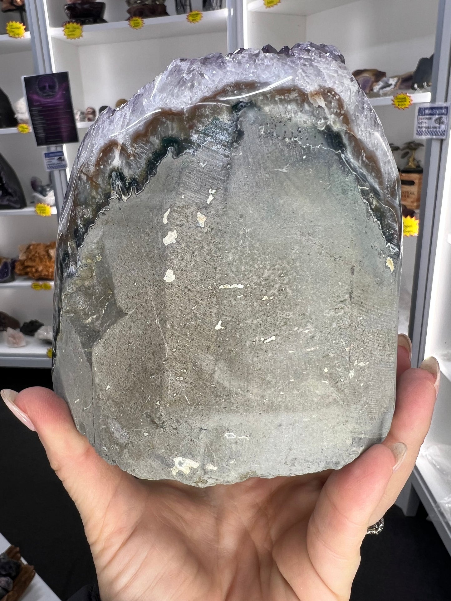 Amethyst Cluster Specimen
