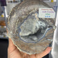 Dugway Agate