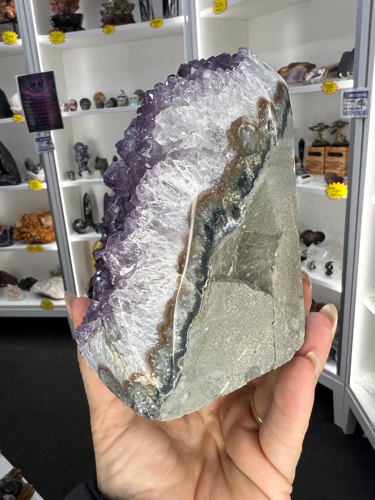 Amethyst Cluster Specimen