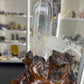 Clear Quartz Cluster Points on Wooden Stand