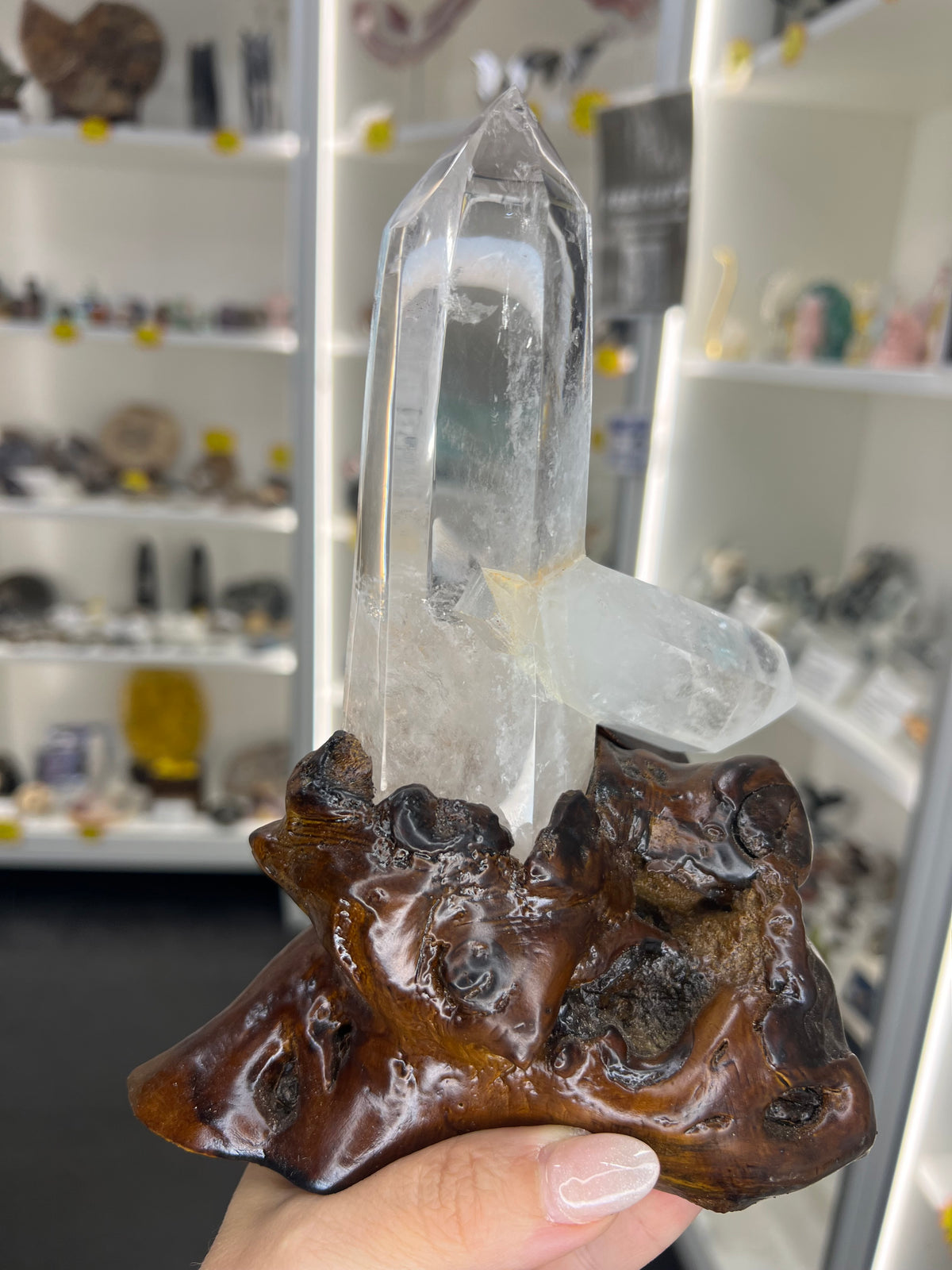 Clear Quartz Cluster Points on Wooden Stand