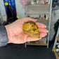 Tiger’s Eye Skull