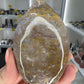 Ocean Jasper Freeform