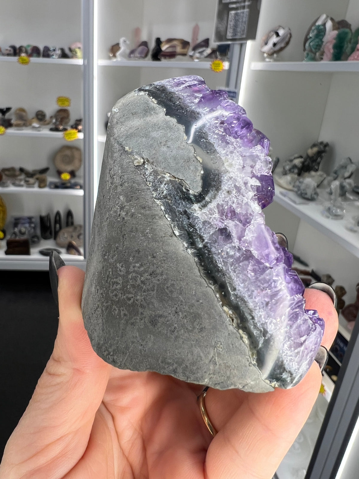 Amethyst Cluster Specimen