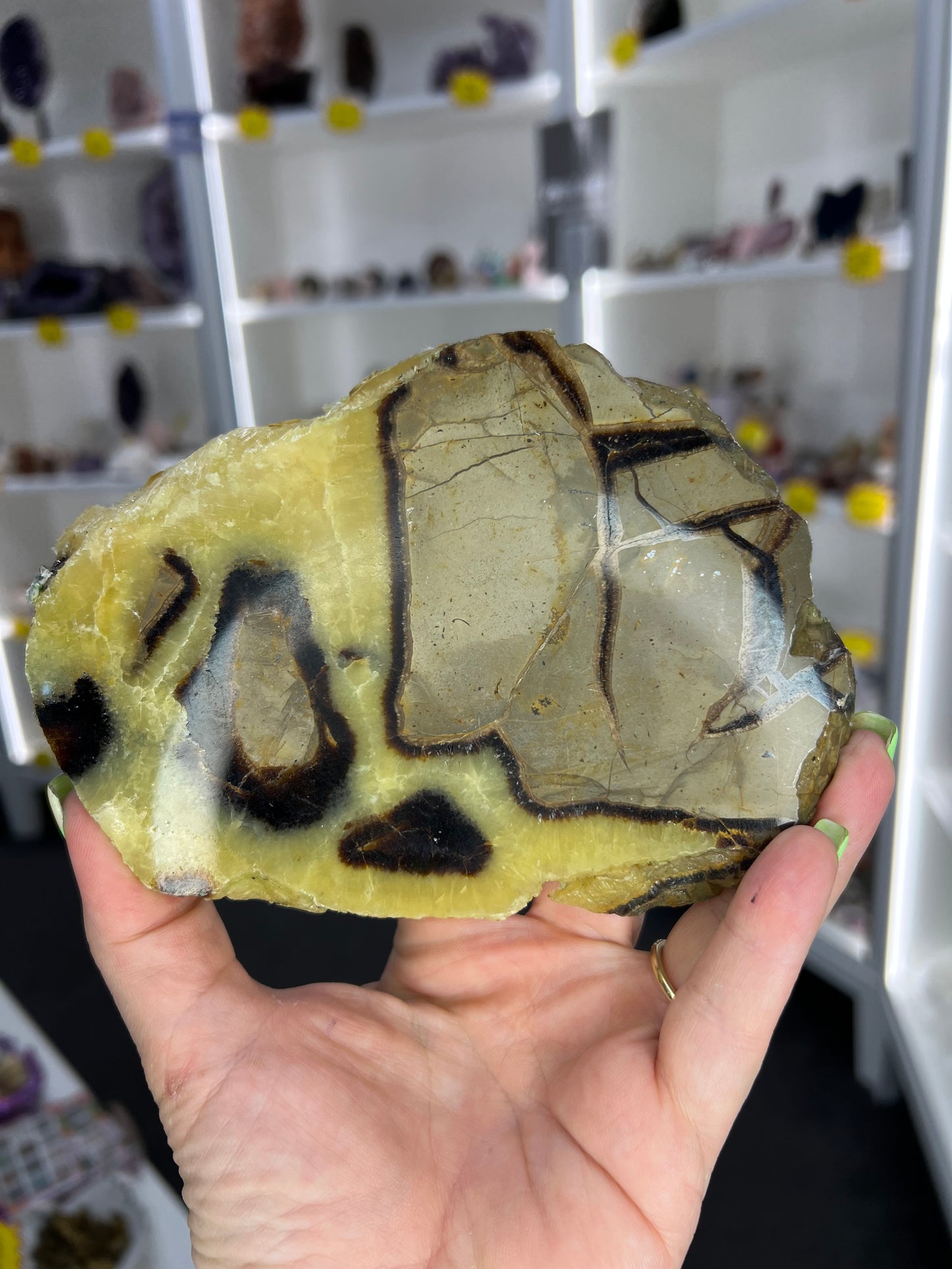 Septarian Slab