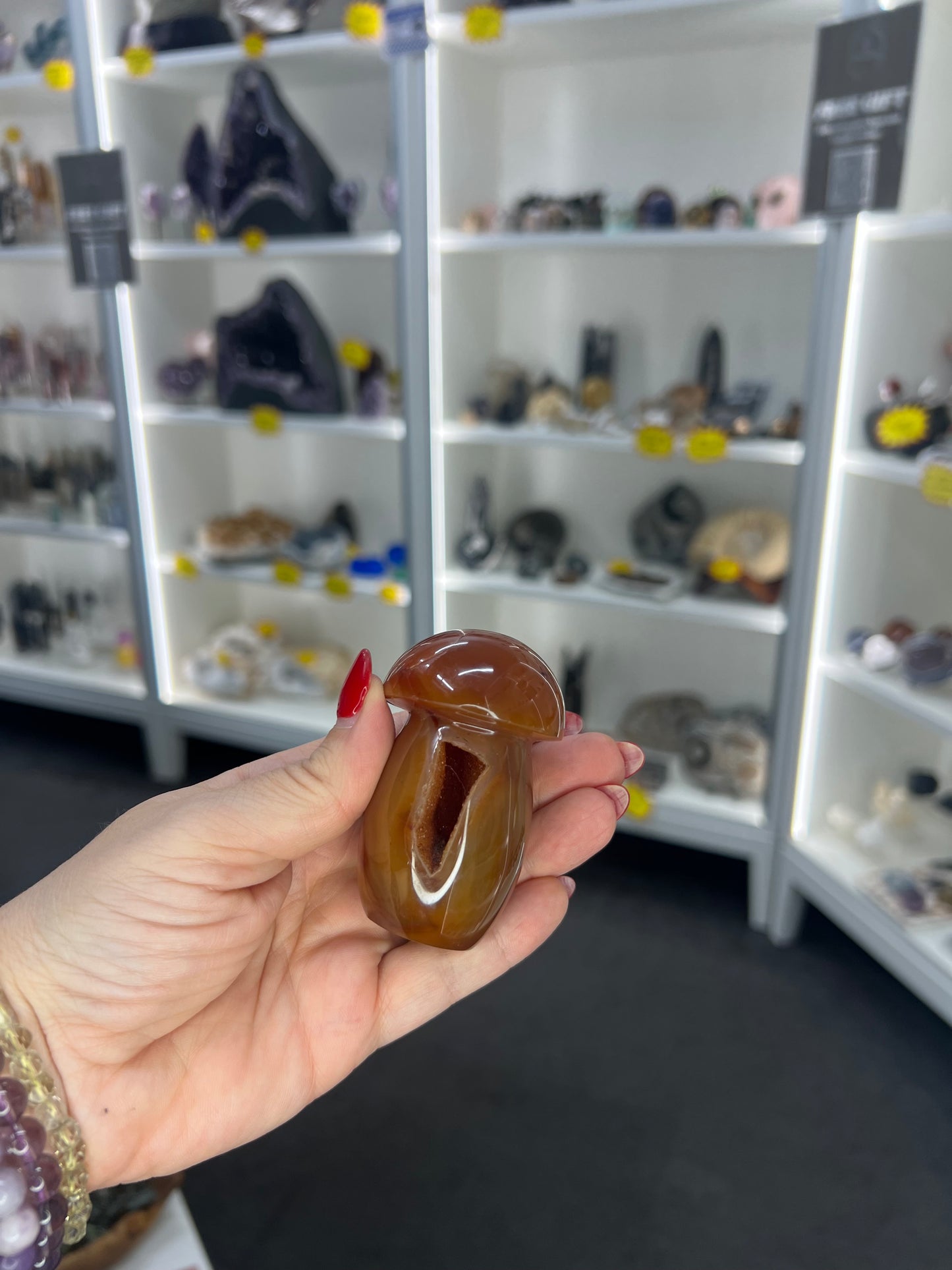 Carnelian Mushroom