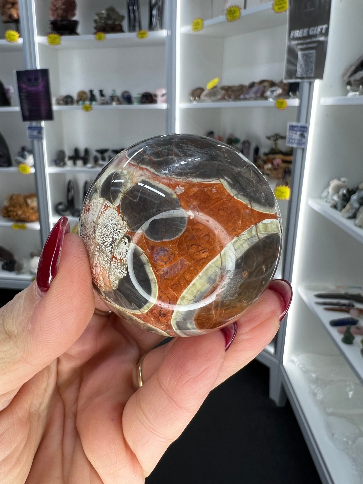 Money Agate Sphere with Stand