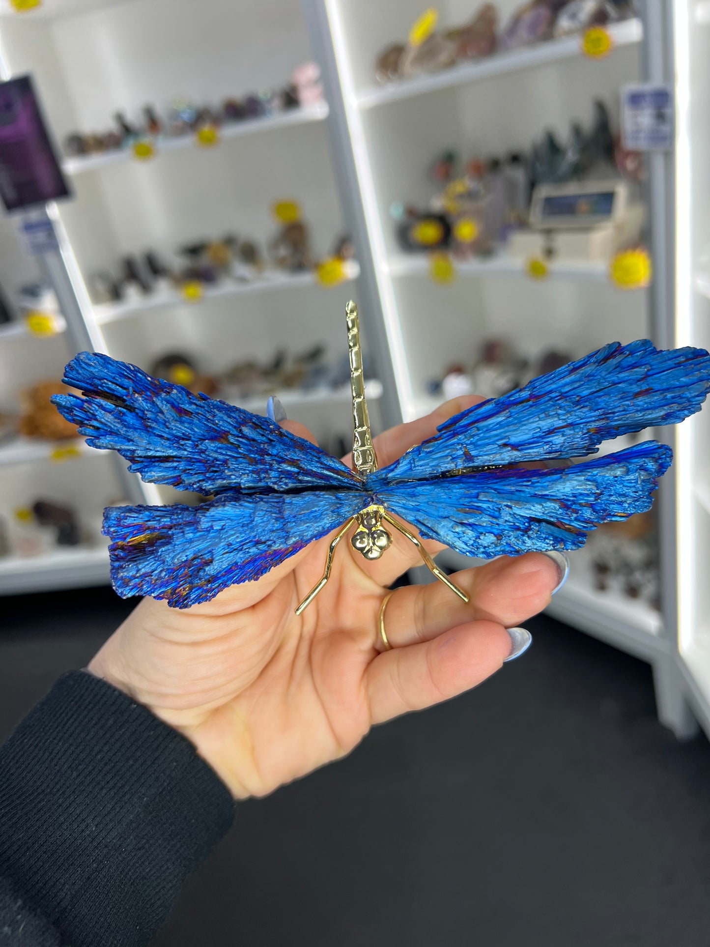 Blue Aura Kyanite Dragonfly