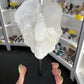Clear Quartz on Stand