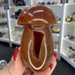 Carnelian Mushroom