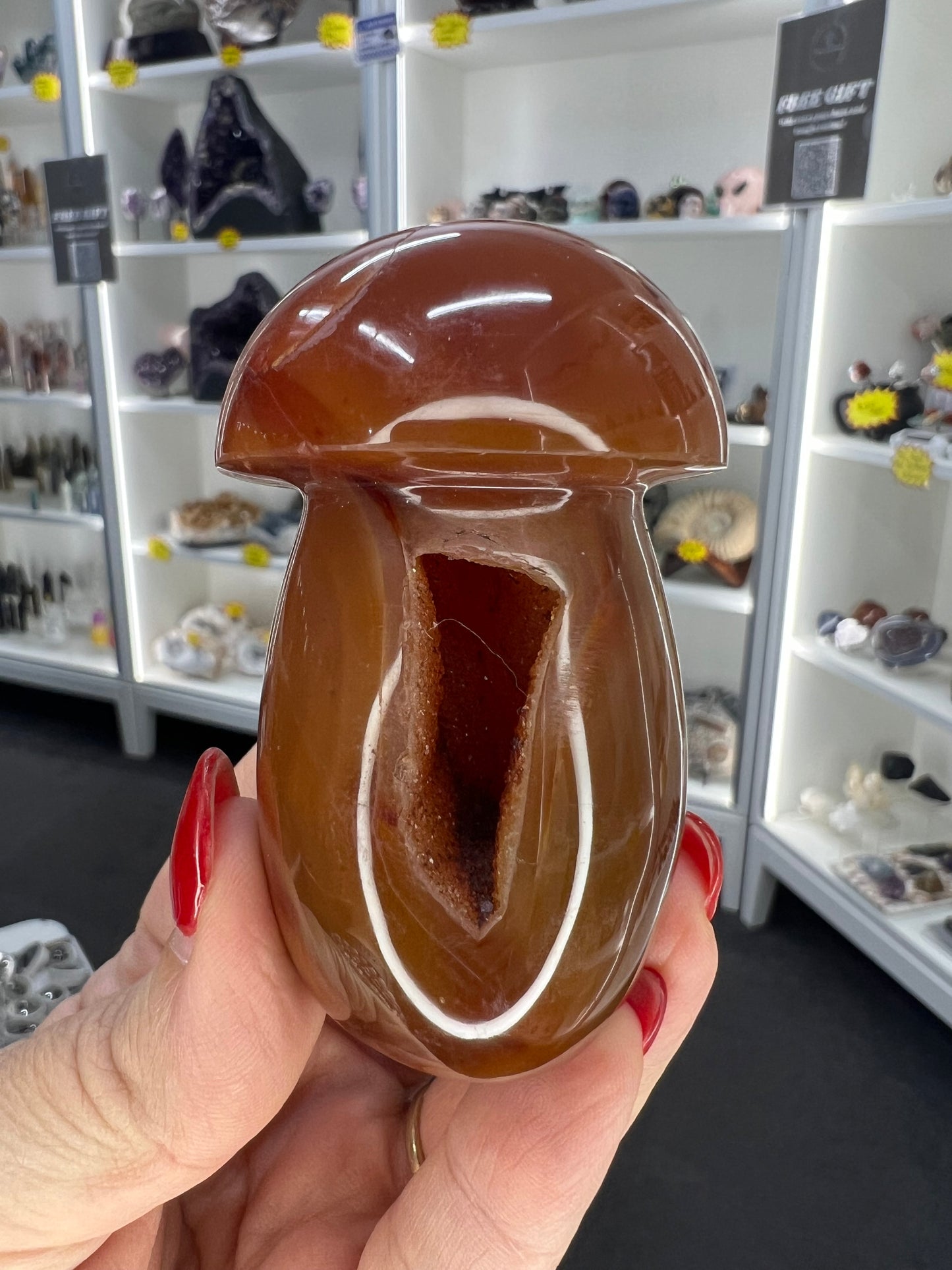 Carnelian Mushroom
