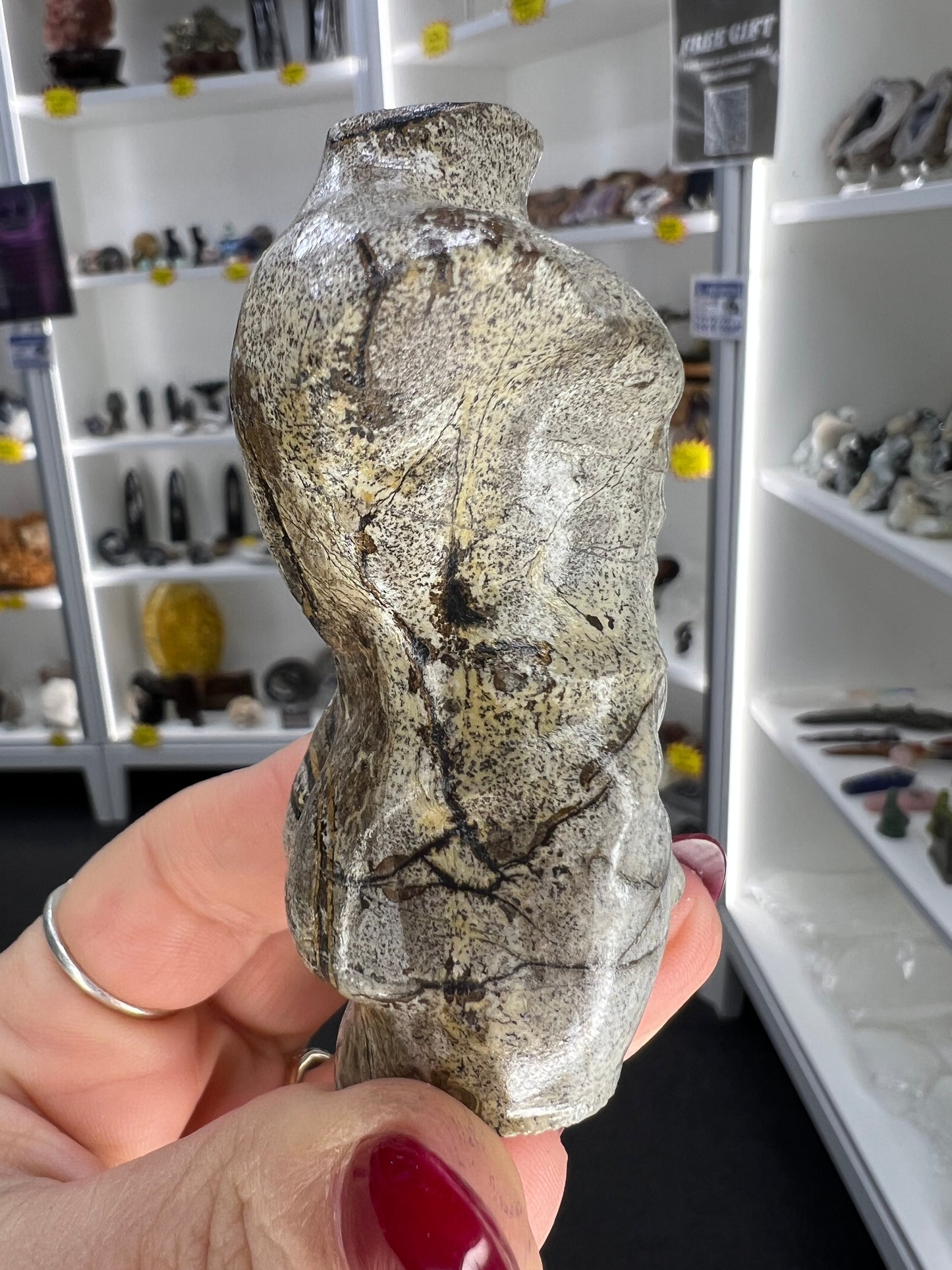 Picture Jasper Male Body