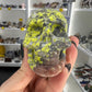 Plum Jade Skull
