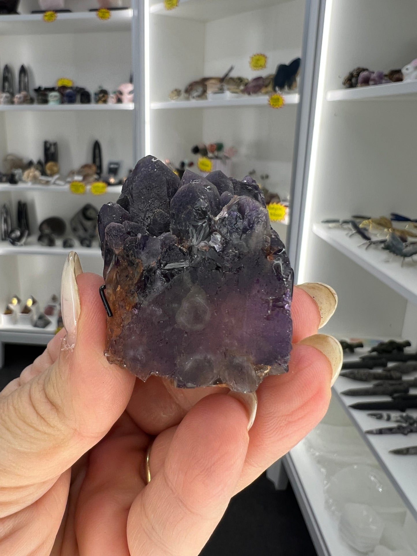 Amethyst Cluster Little Guy
